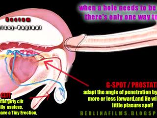 Možača aanatomy(some vrste od sissy-trainer)