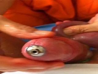 Pia inserts একটি urethra plug এবং gave একটি মহান hj: এইচ ডি পর্ণ 1d