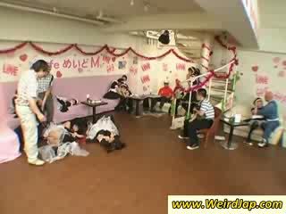 Hottie asia maids gets humiliated