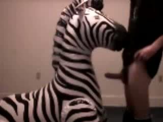 Zebra gets throat fucked oleh pervert guy video